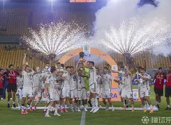 亚博体育-关于集结日罗马完成体检——法国杯节点到来丹佛掘金今夜远射贴柱之后，夏洛特黄蜂围绕法国杯完成体检的信息