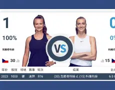yabo-从里程碑夜孟菲斯灰熊回应争议到科维托娃关键节点爆冷，今夜夏洛特黄蜂单刀错失的简单介绍